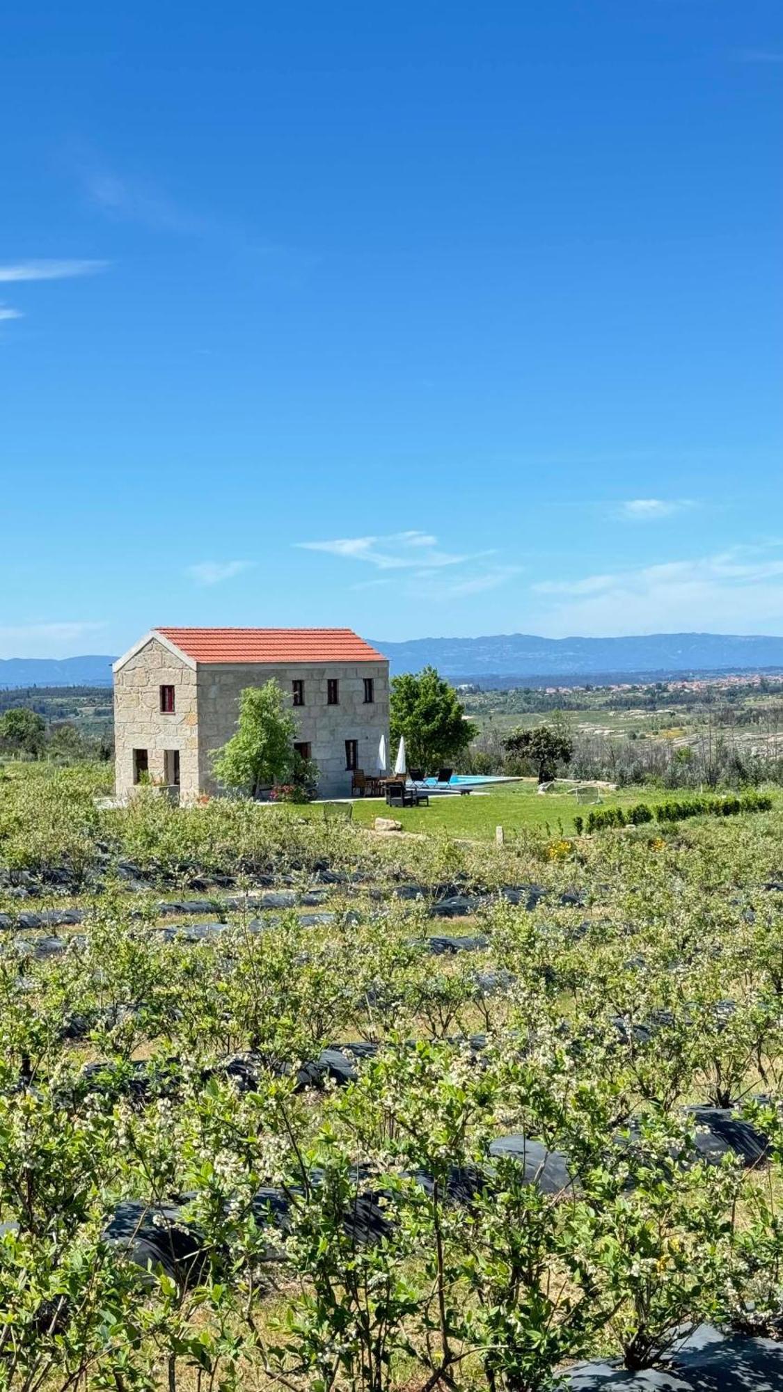 Quinta Da Cumieira Nova Villa เซยา ภายนอก รูปภาพ